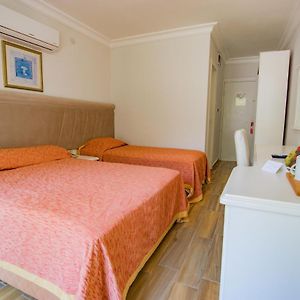 Double or Twin Room Mountain View